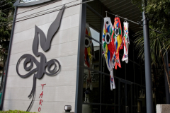 aoyama_2007_17