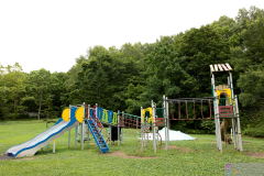 CityForest2024_08