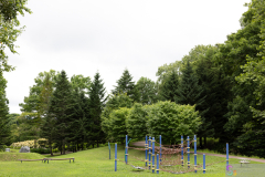 CityForest2024_10