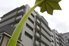 daikanyama2007_03