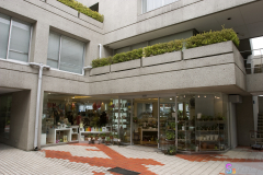 daikanyama2007_22