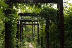 DaisetsuMori-noGarden2025_47