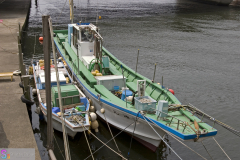 enoshima2007_15