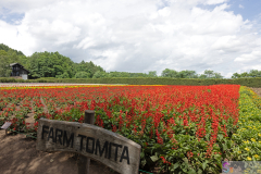 Tomita2025_05
