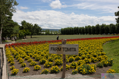 Tomita2025_17