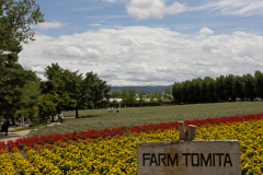 Tomita2025_18