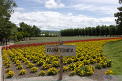 Tomita2025_19