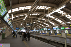 fujisawa2007_13