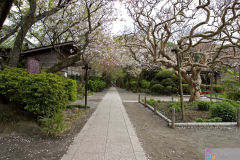 gokurakuji2007_14