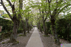 gokurakuji2007_17