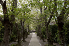 gokurakuji2007_18