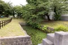 Goryokaku2024_11