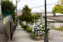 HachimanZakaSlope2024_09