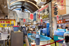 Hakodateasaichi2024_09