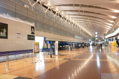 Haneda2024_01
