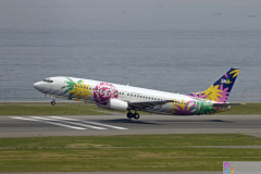 Haneda_Airplane_2007_029
