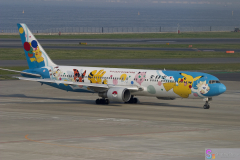 Haneda_Airplane_2007_114
