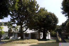 HaraMuseum2007_06