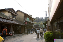 hasedera2007_03
