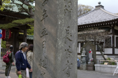 hasedera2007_05