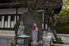 hasedera2007_07