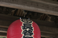 hasedera2007_08