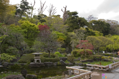 hasedera2007_09