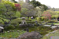 hasedera2007_10