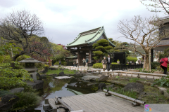 hasedera2007_11