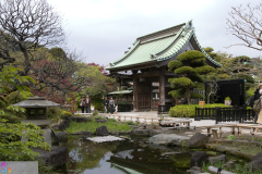 hasedera2007_12