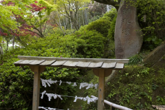 hasedera2007_14