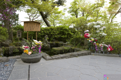 hasedera2007_18