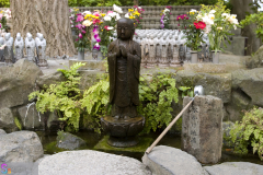 hasedera2007_20