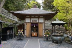 hasedera2007_21