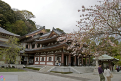 hasedera2007_22