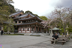 hasedera2007_23