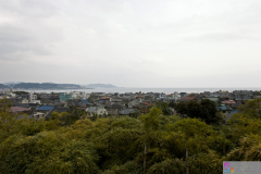 hasedera2007_24