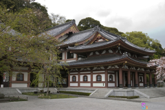 hasedera2007_25
