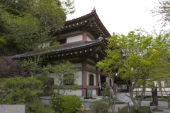 hasedera2007_28
