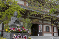 hasedera2007_29