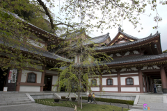 hasedera2007_30