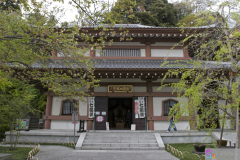 hasedera2007_31