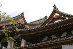 hasedera2007_32