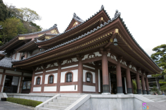 hasedera2007_33