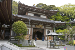 hasedera2007_35