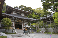 hasedera2007_36