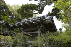 hasedera2007_37