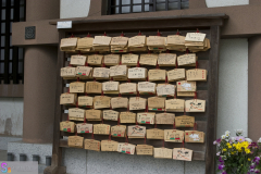 hasedera2007_38