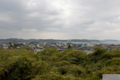 hasedera2007_42