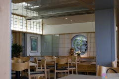 hasedera2007_43